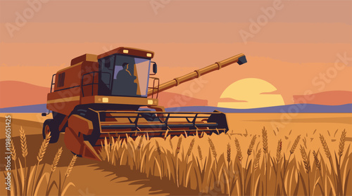 Farming combine harvesting grain in a golden field during sunset