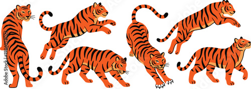 Bengal tiger vector illustration set with different poses like jumping, walking, stretching, and standing