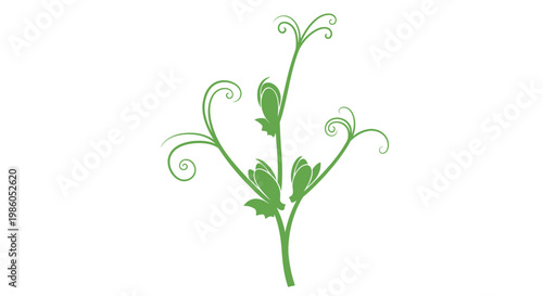 Stylized green plant illustration with buds and tendrils
