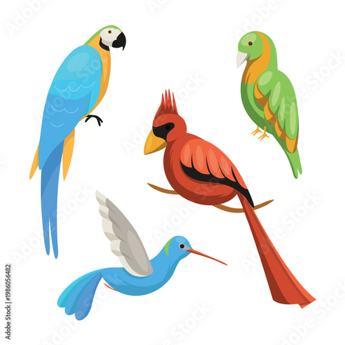 A group of colorful birds on a white background