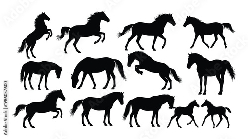 A collection of black silhouette images depicting horses in various dynamic poses and activities high quality