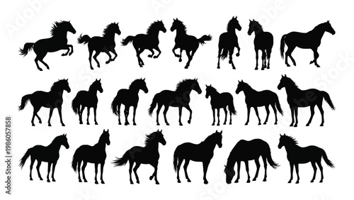 A collection of black silhouettes depicts various horse poses including running grazing and standing high quality