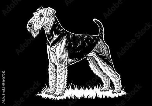 Airedale Terrier Dog Woodcut Style Illustration, Black and White Linocut Portrait of a Purebred Canine Standing on Grass