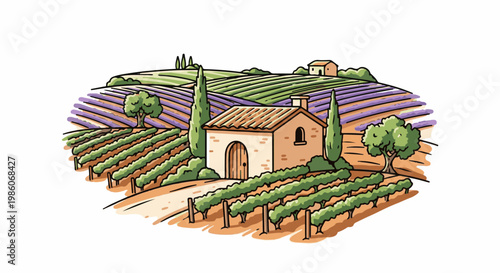A charming illustration of rolling vineyards and lavender fields with a small farmhouse