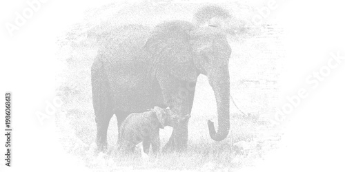 A grayscale illustration of an elephant and its calf standing together isolated on transparent background