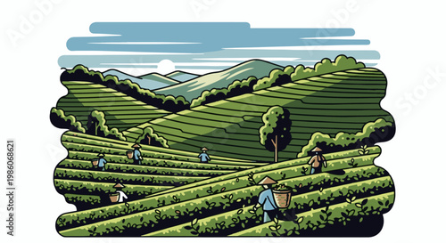 Workers harvest tea on lush, terraced hillsides under a hazy sky