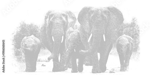 A group of elephants standing together in a natural outdoor setting with trees isolated on transparent background