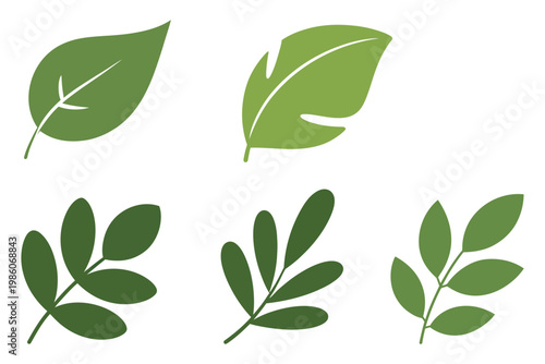 Six flat green leaf minimalist nature plant