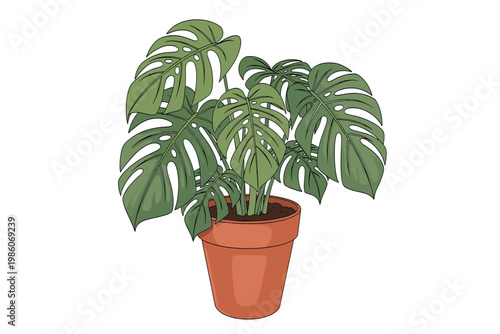 Monstera Deliciosa Plant in a Modern Pot, Lush Green Leaves, Isolated Vector Illustration