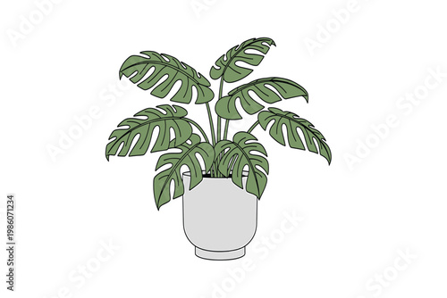 Monstera Deliciosa Plant in a Modern Pot, Lush Green Leaves, Isolated Vector Illustration