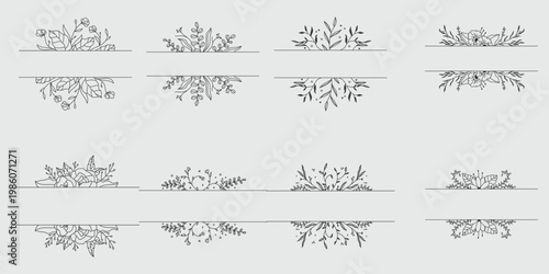 Botanical illustration collection diverse plant studies in detailed line drawings representing natural forms