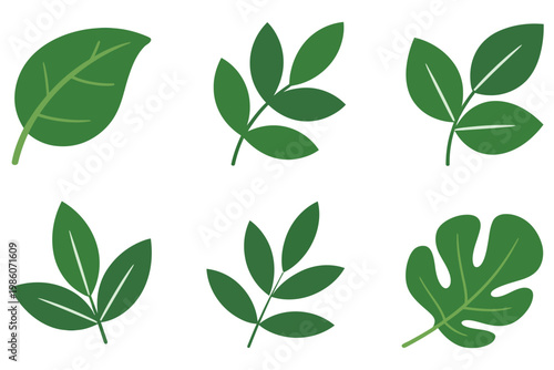 Six green leaf flat isolated on white background, nature collection