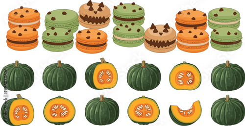 Autumn Pumpkin and Macaron Dessert Illustration Set with Green Squash Varieties Sweet Treats and Seasonal Food Elements in Detailed Vector Style