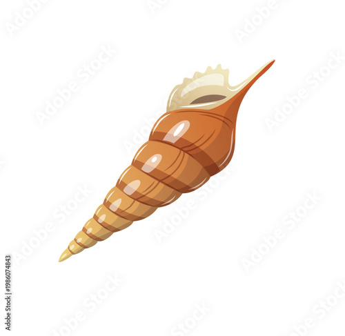 Seashell found on a beach during low tide in a coastal area