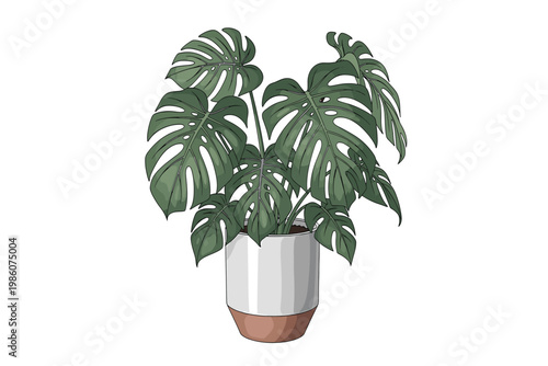 Monstera Deliciosa Plant in a Modern Pot, Lush Green Leaves, Isolated Vector Illustration