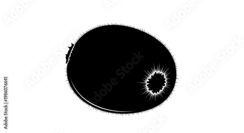 Fruites Solar eclipse, black circle, sunburst, astronomy icon, vector graphic isolated on White Background vactor EPS
