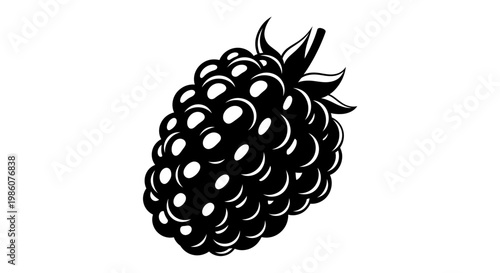 Fruites Blackberry, blackberry icon, fruit illustration, vector berry isolated on White Background vactor EPS