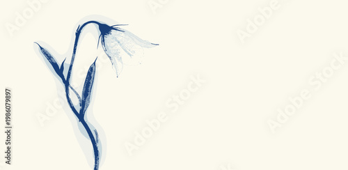 Delicate bluebell flower illustration with a simple and elegant artistic style on a light background, capturing natural beauty