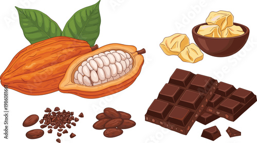 Cacao Pod Cocoa Beans and Chocolate Bar Illustration Set with Butter and Crushed Cocoa Pieces for Dessert Production and Food Ingredient Design Collection