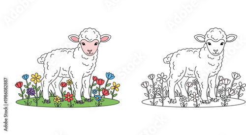 Cute Little Lamb in Flower Meadow Illustration Set, Colored and Line Art Outline for Kids Coloring Book, Vector Baby Sheep in Garden