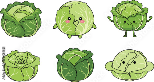 Cute Cabbage Cartoon Character Set with Different Expressions and Whole Vegetable Variations for Healthy Food Illustration and Kids Mascot Design Collection