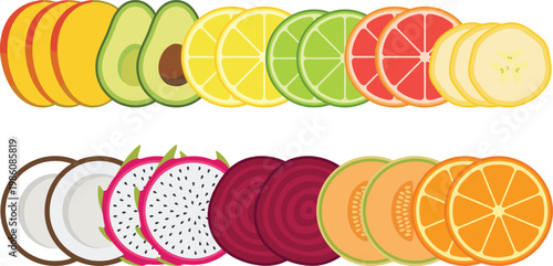 Colorful Fruit Slice Borders Vector Set with Mango, Avocado, Citrus, Dragon Fruit, Coconut, Beetroot, and Melon for Fresh Food Design and Decorative Elements