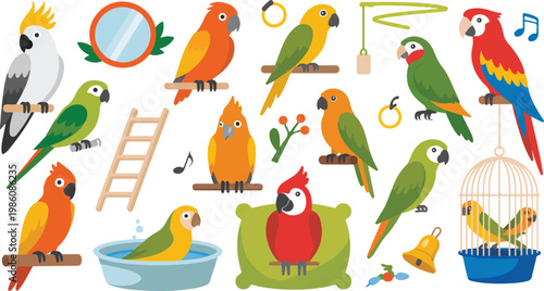 Colorful parrots and bird accessories flat cartoon vector illustration pet birds macaw cockatoo cage perch playful set isolated on white background