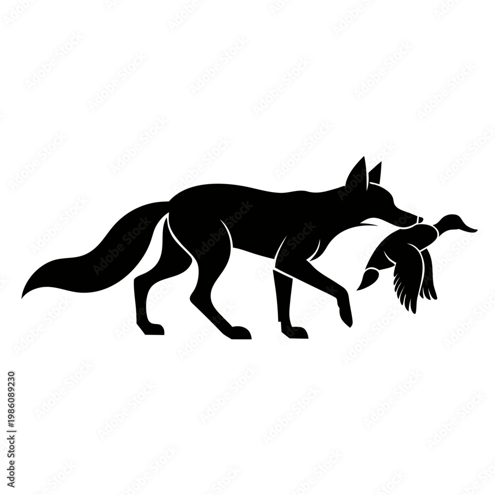 Fototapeta premium Fox Carrying Prey