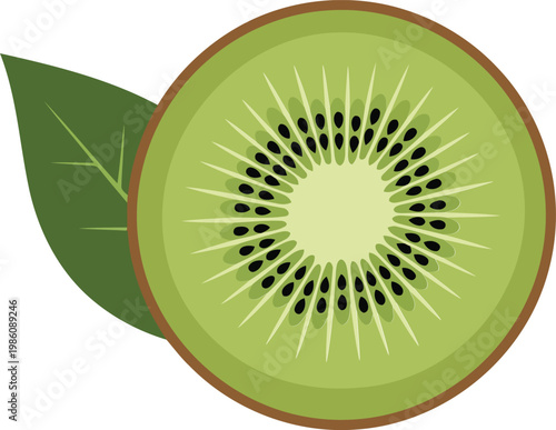 Cut kiwi fruit with leaf green