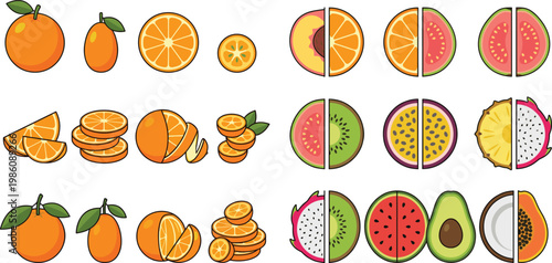 Citrus and Tropical Fruit Vector Icon Set with Whole and Sliced Illustrations Including Orange, Kiwi, Dragon Fruit, Watermelon, and Avocado for Fresh Food Design