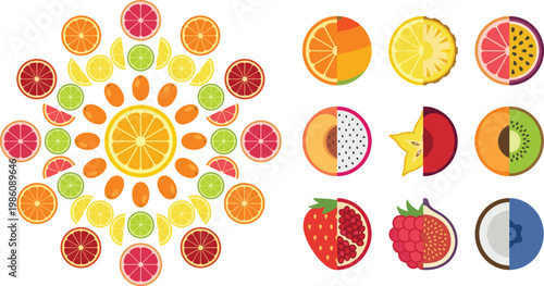 Colorful Citrus and Tropical Fruit Vector Set with Circular Composition and Half Slice Icons for Fresh Food Design, Summer Themes, and Healthy Lifestyle Projects