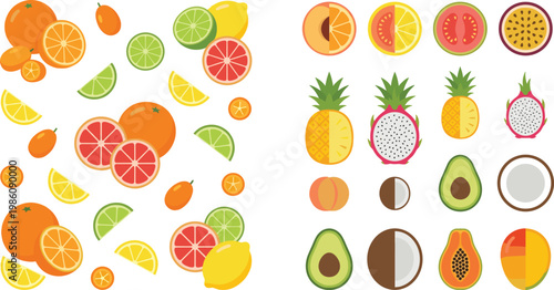 Tropical and Citrus Fruit Vector Collection with Slices and Whole Fruits Including Orange, Lemon, Lime, Pineapple, Avocado, and Exotic Food Illustrations