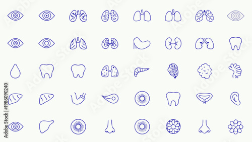 Collection of hand drawn anatomical organs and body part icons in blue