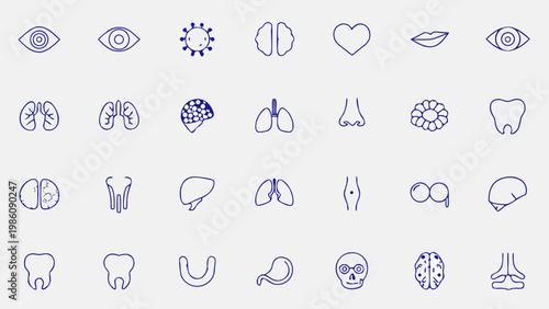 Collection of blue line art icons depicting various human body parts