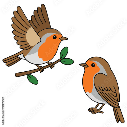 Two robins one flying and one perched interact with each other