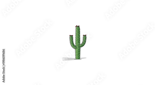 Isolated green cactus with multiple arms on white background last2026.