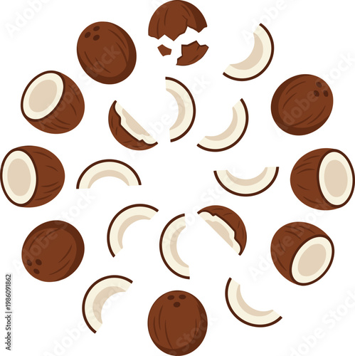 Coconut Round Composition Vector Illustration with Whole and Sliced Tropical Fruit Pieces Arranged in Circle for Organic Food, Healthy Lifestyle, and Exotic Design