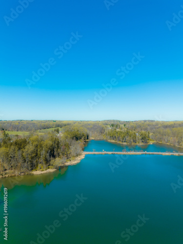 Springtime Landscape with Blossoming Trees
