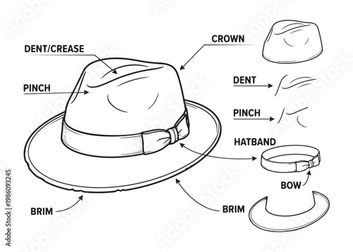 Detailed vector illustration of a fedora hat with labels pointing to crown brim and band.
