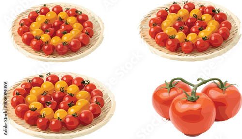 Cherry Tomato Arrangement Set with Red and Yellow Tomatoes in Basket and Fresh Cluster Illustration for Healthy Food Ingredient and Organic Produce Design Collection