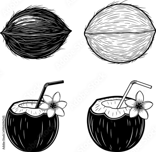 Coconuts and coconut drinks with straws and flowers illustration set