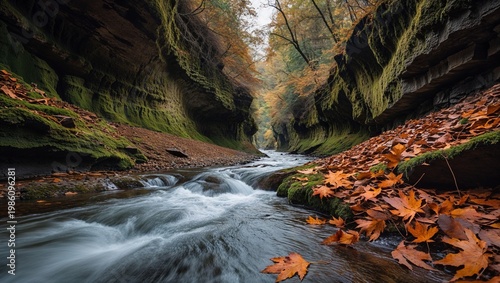 Fast flowing river moving through a deep rocky canyon during autumn