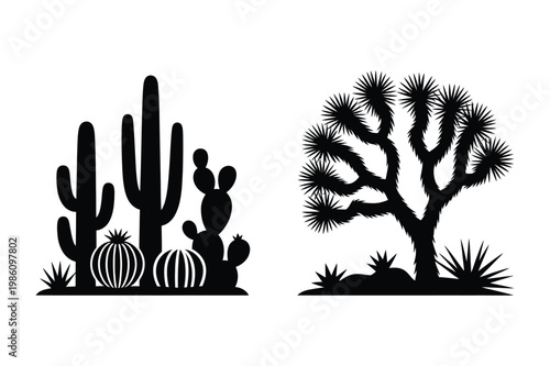 Desert landscape silhouette with cacti and joshua tree prickly pear succulent