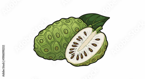 Two stylized green noni fruits, one halved, revealing white flesh with seeds