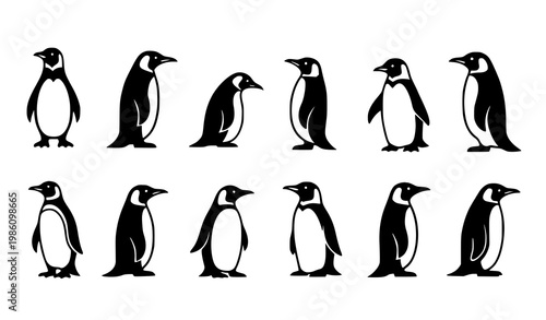 Penguin icon collection vector silhouette animal symbols isolated on white background