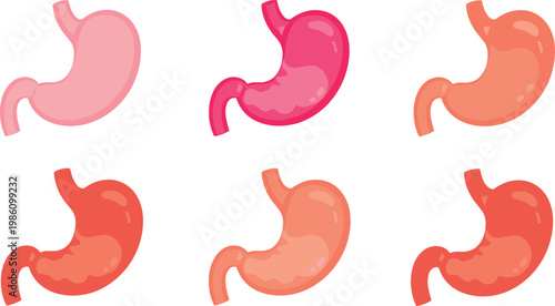 Stomach Vector Illustration Set in Various Colors for Medical, Health, and Anatomy Designs