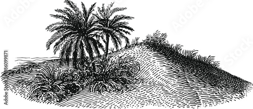 tropical palm trees and dune grass detailed ink drawing, nature landscape with sand hill and foliage