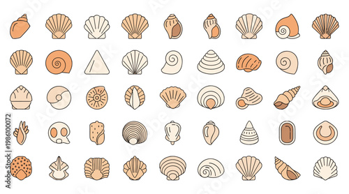 Seashell icons set with various ocean beach sea shell shapes and aquatic elements for vector illustration projects