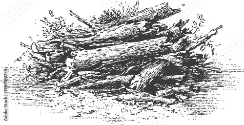 pile of rustic wooden logs stacked outdoors with detailed bark texture and scattered leaves