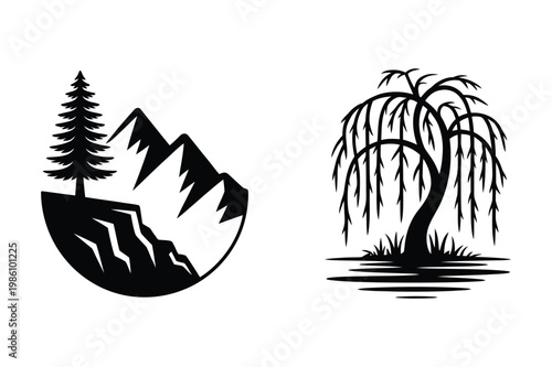 Silhouettes of a coniferous tree on a cliff edge and a weeping willow tree
